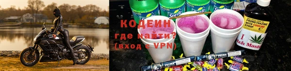 крисы Абаза