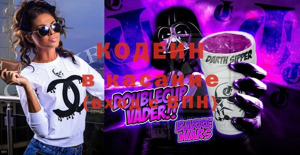 крисы Абаза