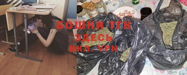крисы Абаза