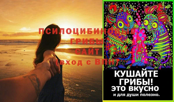 крисы Абаза