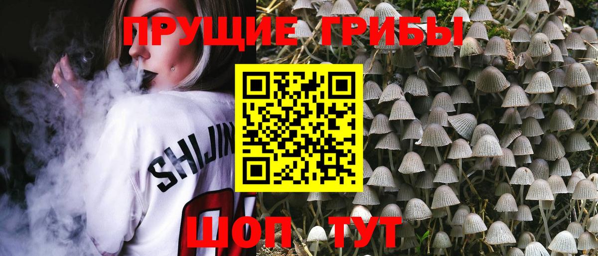 Галлюциногенные грибы MAGIC MUSHROOMS Кисловодск