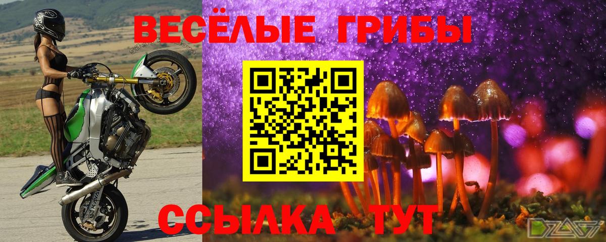 Галлюциногенные грибы мухоморы  Галлюциногенные грибы GOLDEN TEACHER  магазин  наркотиков  Вход с VPN  Кисловодск 