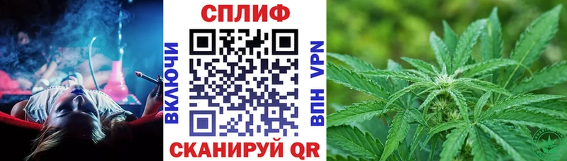 Бошки Шишки White Widow  площадка клад  Кисловодск 